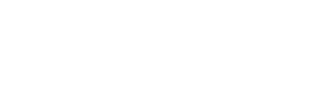 Papaya Overseas